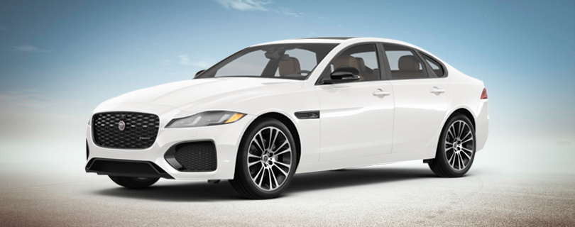 Jaguar banner